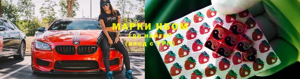 apvp Гусиноозёрск