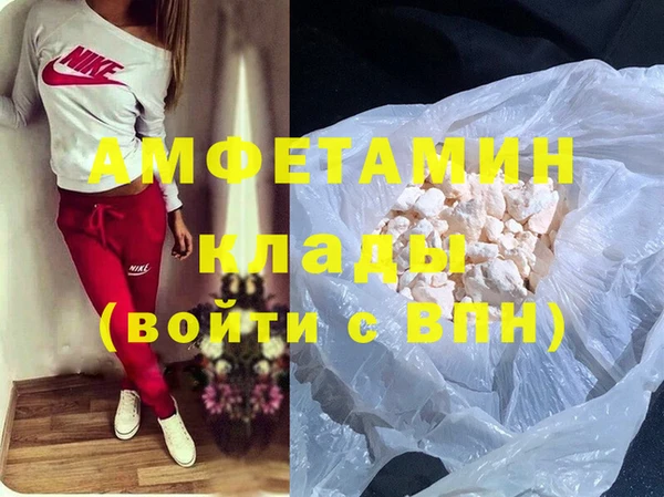 шишки Гусев