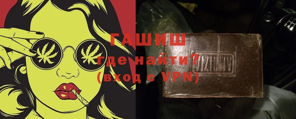 шишки Гусев