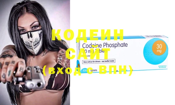 шишки Гусев