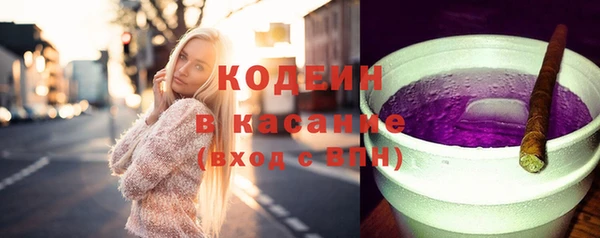 apvp Гусиноозёрск