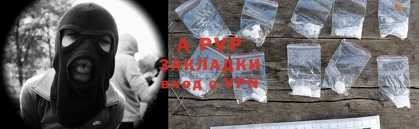 шишки Гусев