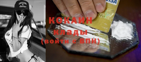шишки Гусев