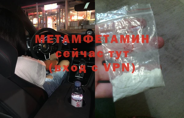 шишки Гусев