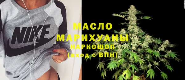 шишки Гусев