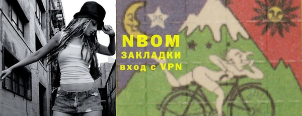шишки Гусев